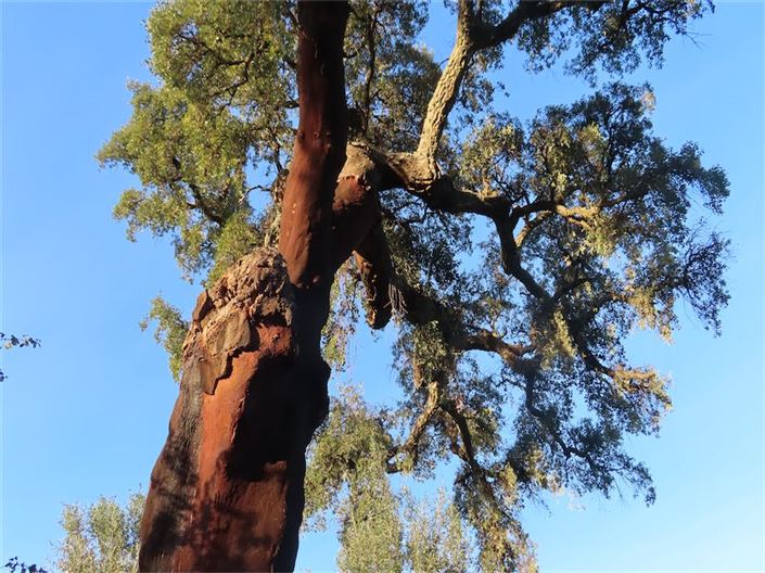 Image No.21-Property for sale