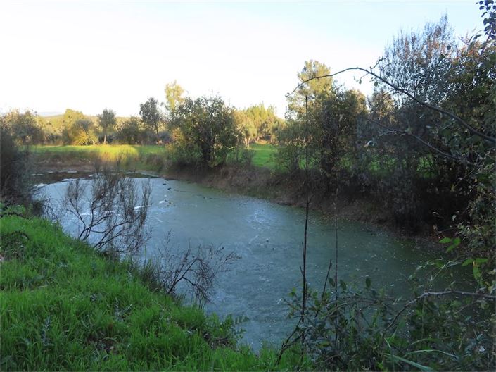 Image No.22-Property for sale