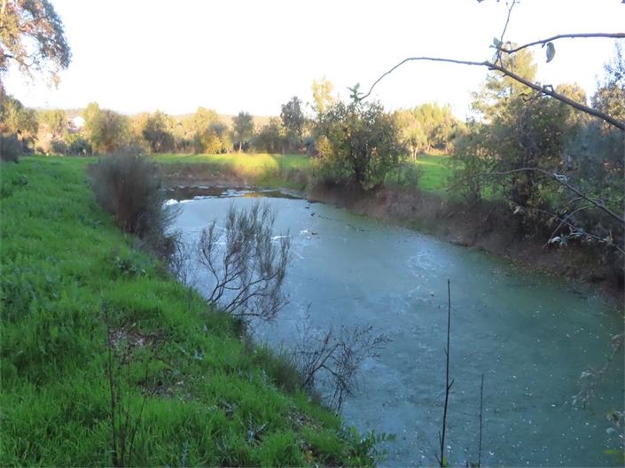 Image No.23-Property for sale