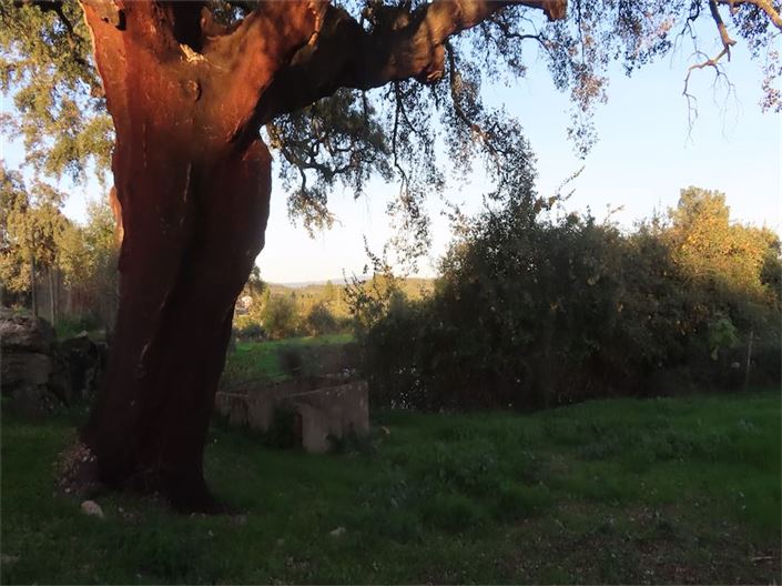 Image No.24-Property for sale