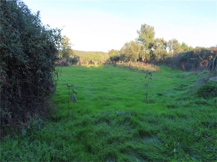 Image No.25-Property for sale