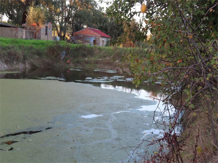 Image No.28-Property for sale