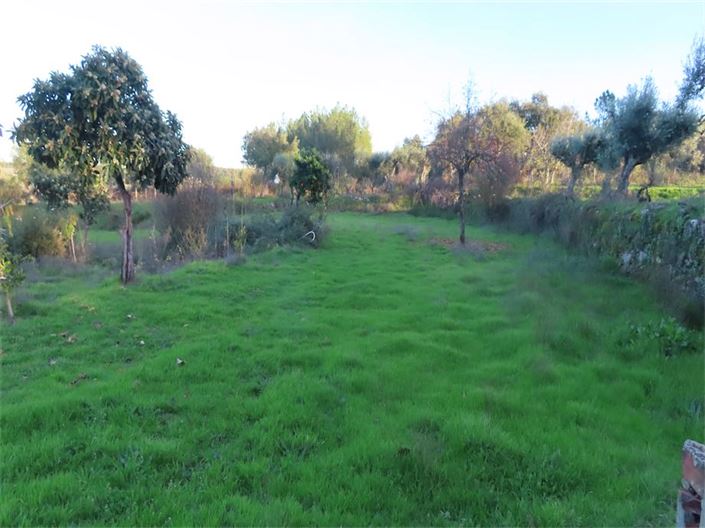 Image No.3-Property for sale