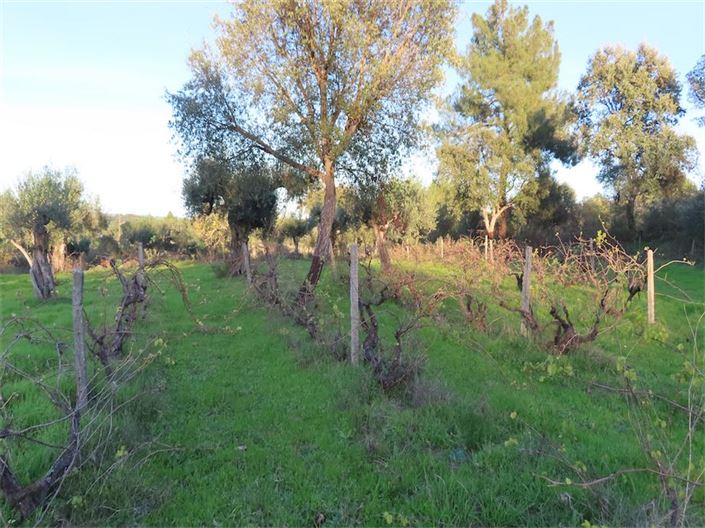 Image No.30-Property for sale