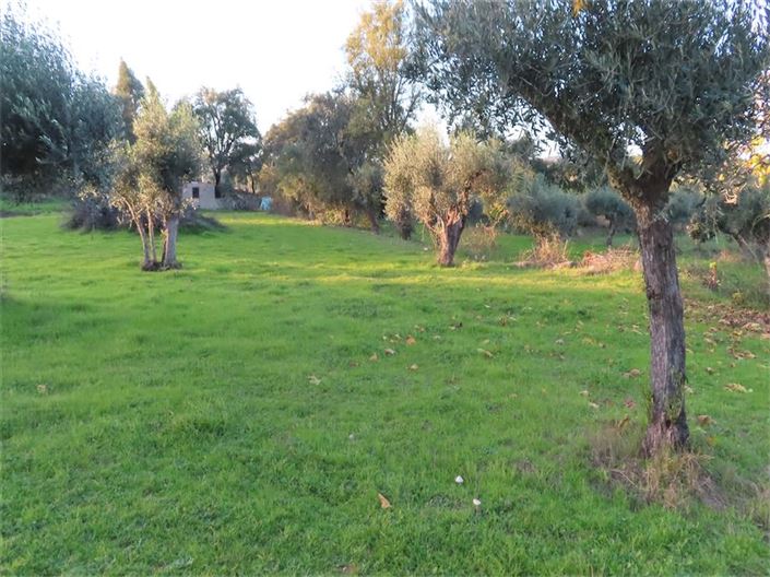 Image No.31-Property for sale