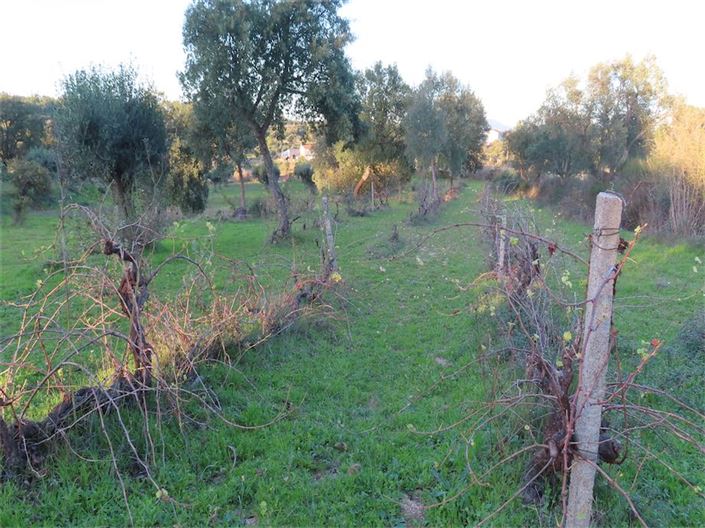 Image No.34-Property for sale