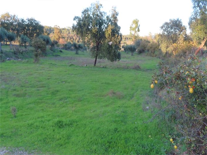 Image No.36-Property for sale