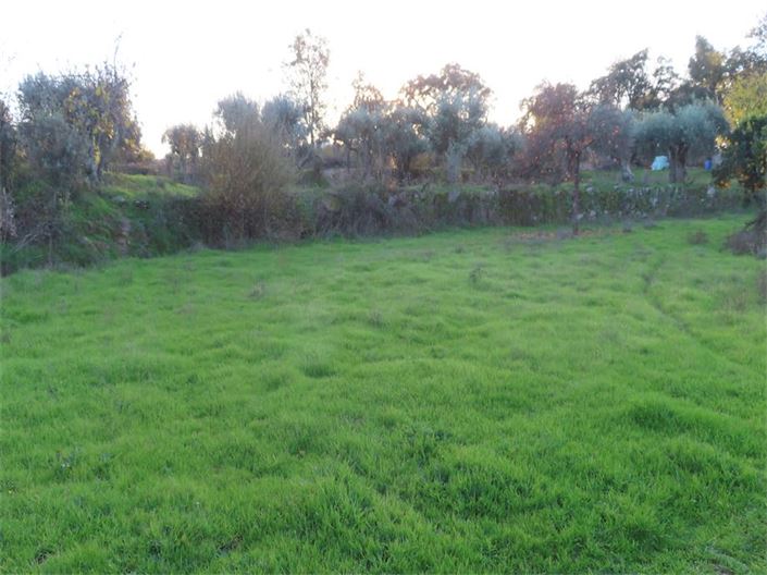 Image No.37-Property for sale