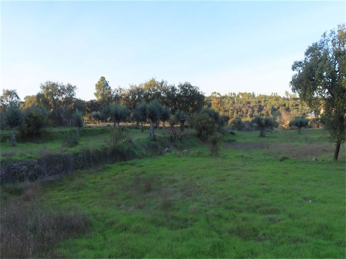 Image No.39-Property for sale