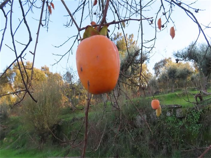 Image No.42-Property for sale