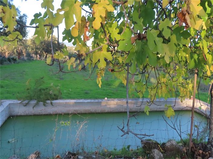 Image No.8-Property for sale