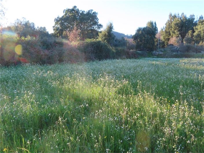 Image No.18-Property for sale