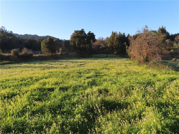 Image No.20-Property for sale