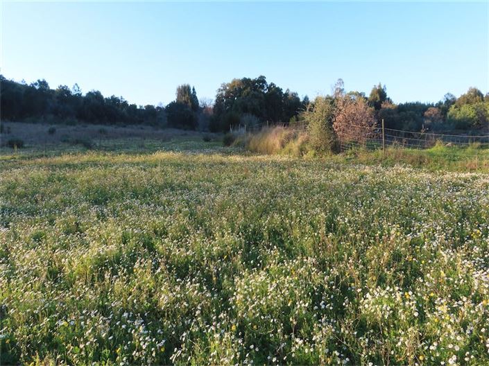 Image No.22-Property for sale