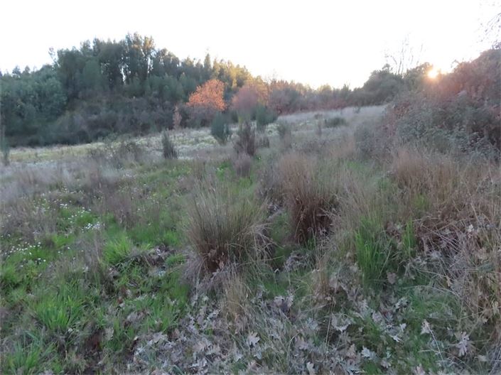 Image No.23-Property for sale