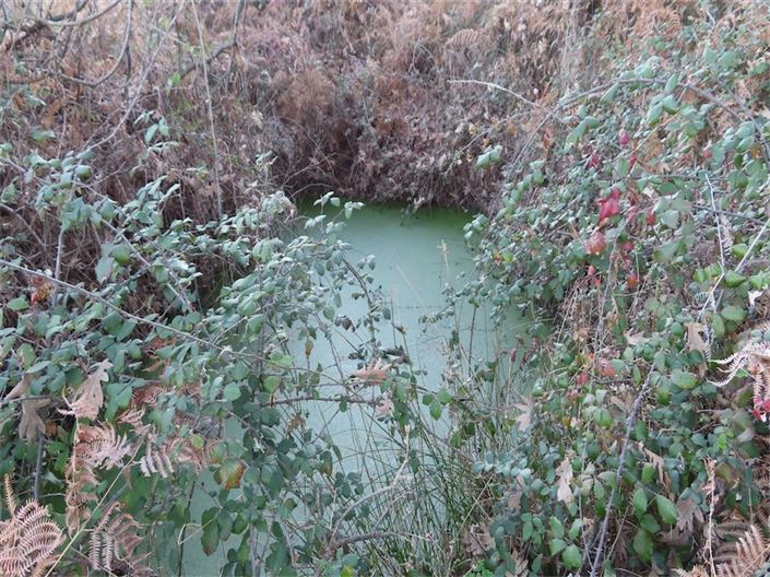 Image No.24-Property for sale