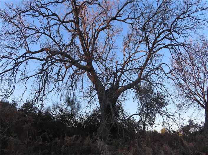 Image No.26-Property for sale