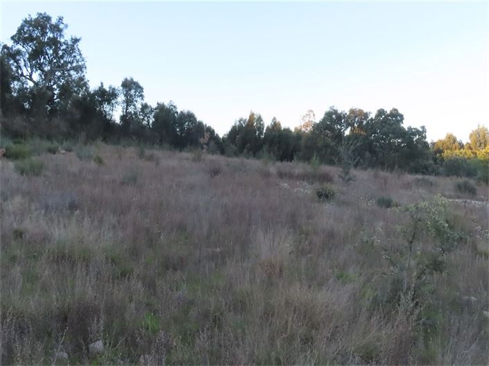 Image No.28-Property for sale