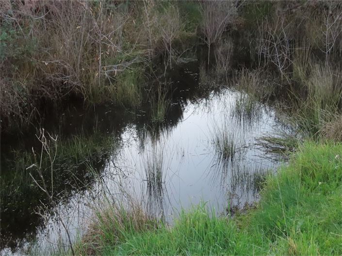 Image No.3-Property for sale