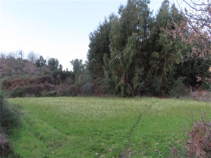 Image No.30-Property for sale