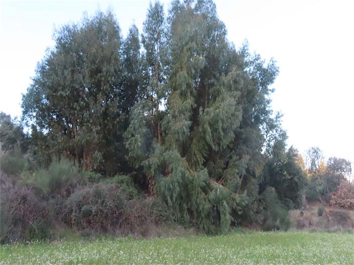 Image No.31-Property for sale