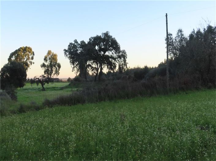 Image No.33-Property for sale