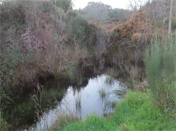 Image No.5-Property for sale