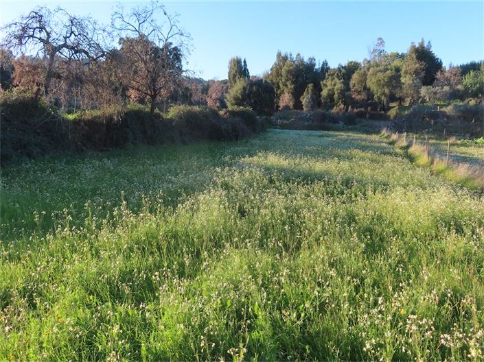 Image No.8-Property for sale