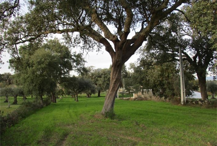 Image No.13-Land for sale