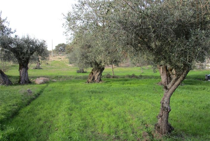 Image No.16-Land for sale