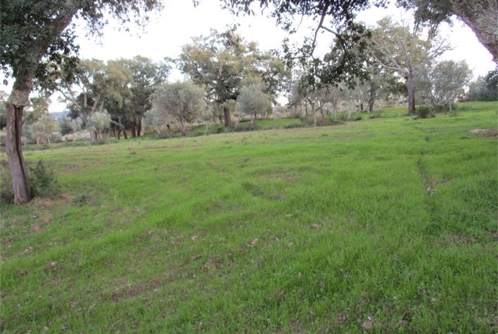 Image No.17-Land for sale