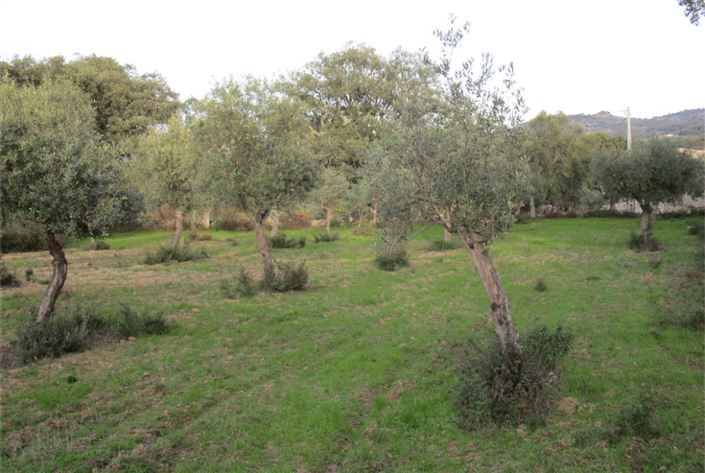 Image No.18-Land for sale