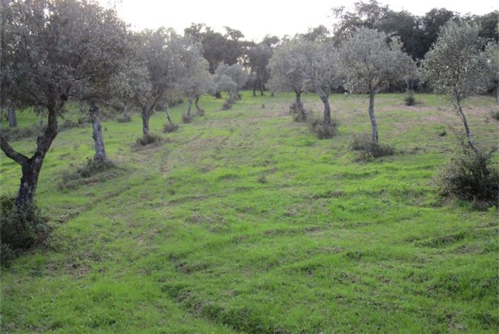 Image No.19-Land for sale