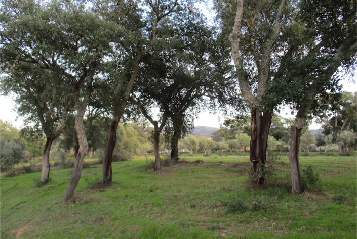 Image No.4-Land for sale