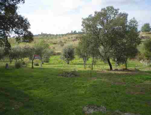 Image No.5-Property for sale