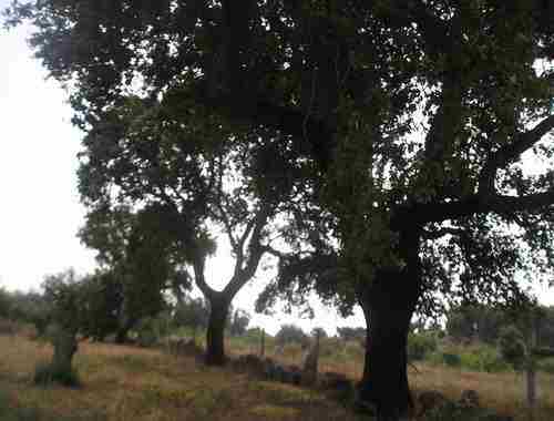 Image No.9-Property for sale