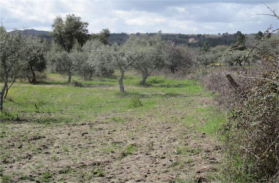 Image No.11-Property for sale