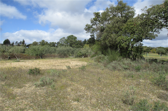 Image No.14-Property for sale