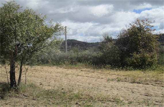 Image No.15-Property for sale