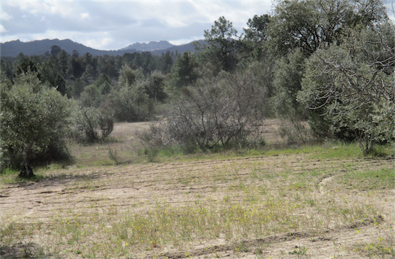 Image No.16-Property for sale