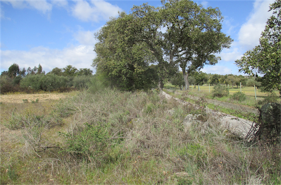 Image No.17-Property for sale