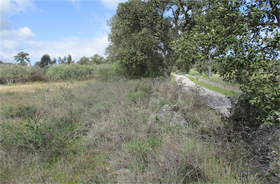 Image No.18-Property for sale