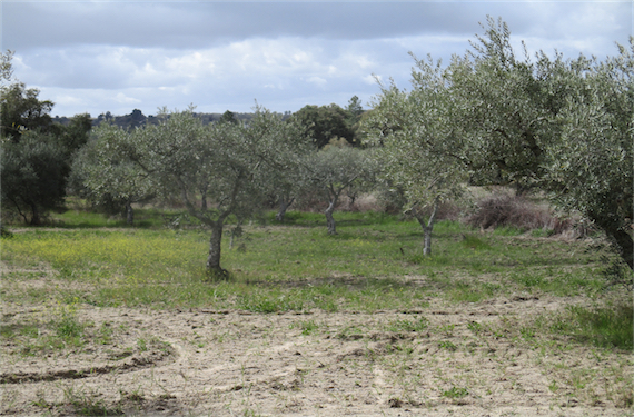 Image No.2-Property for sale