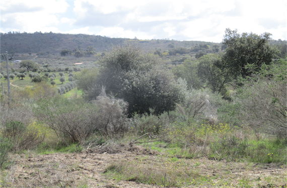 Image No.21-Property for sale