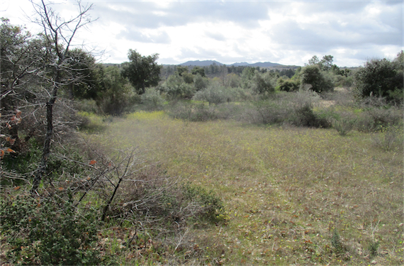 Image No.23-Property for sale