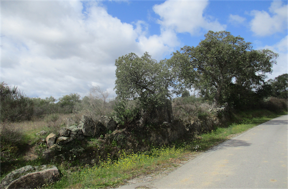 Image No.24-Property for sale