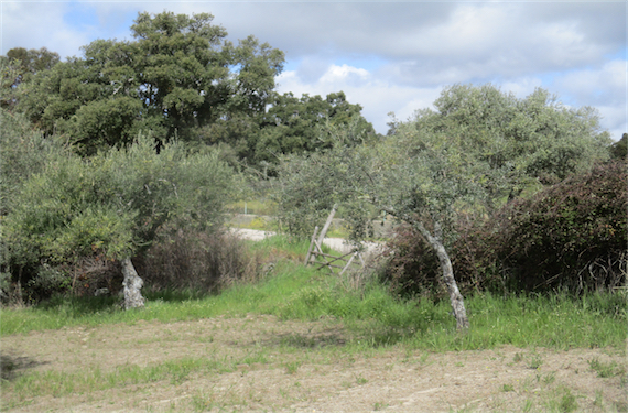 Image No.3-Property for sale