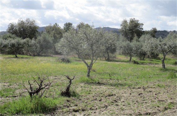 Image No.5-Property for sale