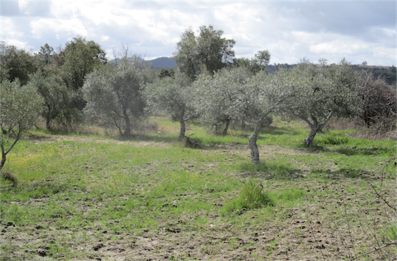 Image No.7-Property for sale