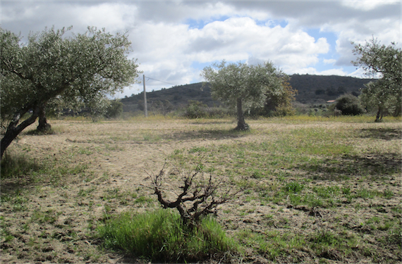 Image No.9-Property for sale